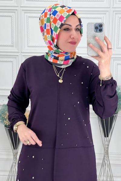 1223 Takım Mürdüm